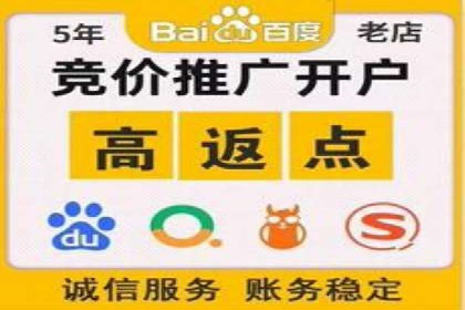 精准营销之道：百度竞价代理案例剖析